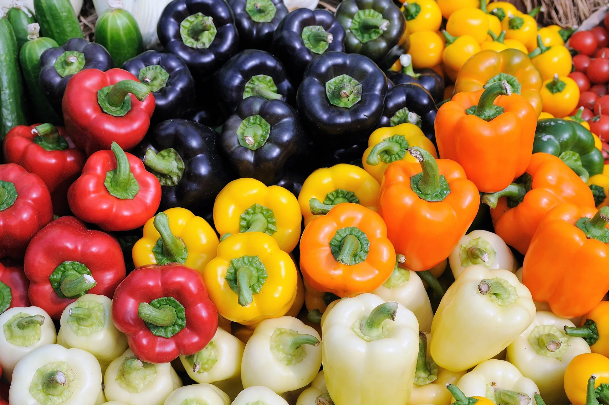 Mixed Bell Pepper Pack